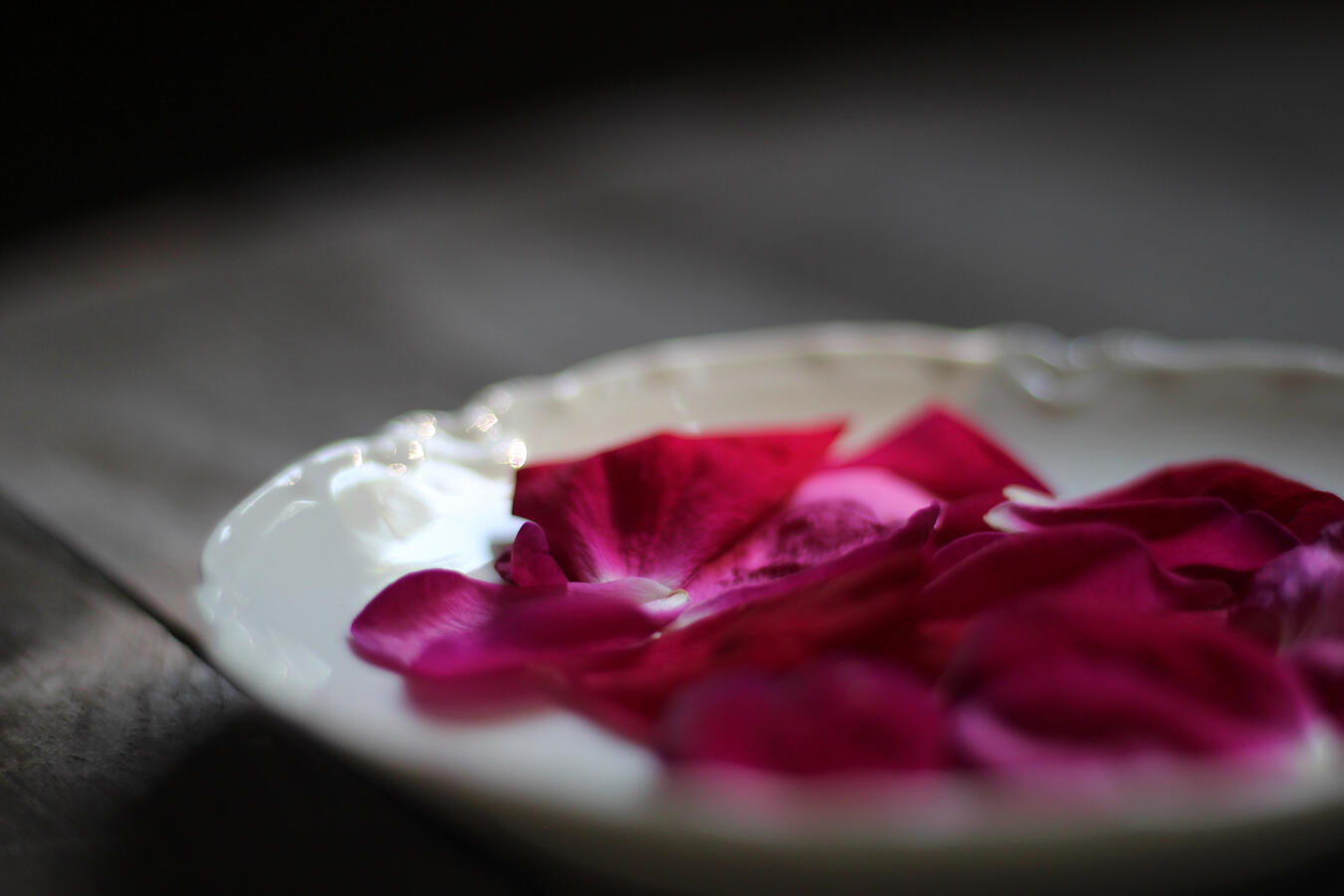rose petals in limoges